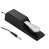 pedal 1 Piano Sustain Pedal