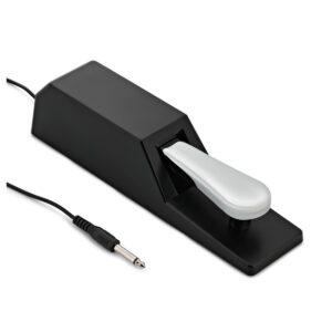 pedal 1 Piano Sustain Pedal