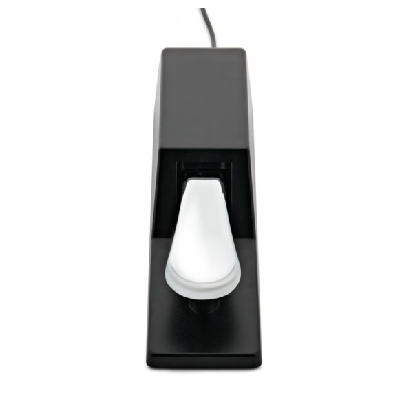pedal 2 Piano Sustain Pedal